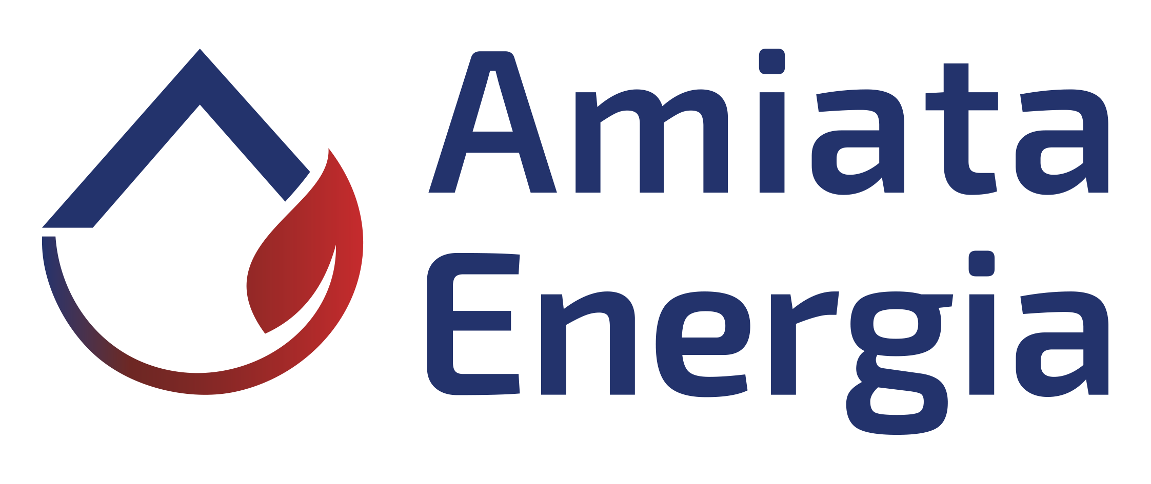 AMIATA ENERGIA S.p.A.